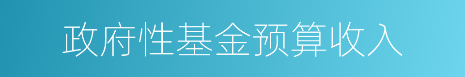 政府性基金预算收入的同义词