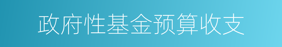 政府性基金预算收支的同义词