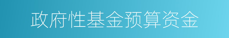 政府性基金预算资金的同义词