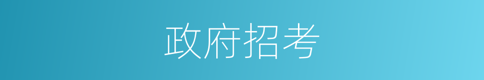 政府招考的同义词