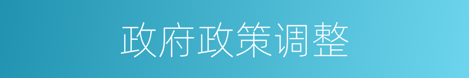 政府政策调整的同义词