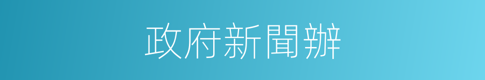 政府新聞辦的同義詞