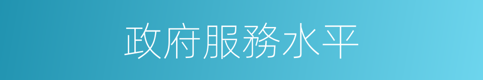 政府服務水平的同義詞