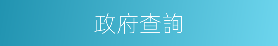 政府查詢的同義詞