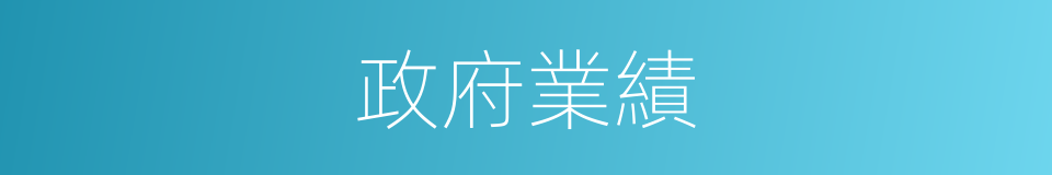 政府業績的同義詞