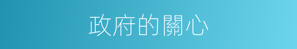 政府的關心的同義詞