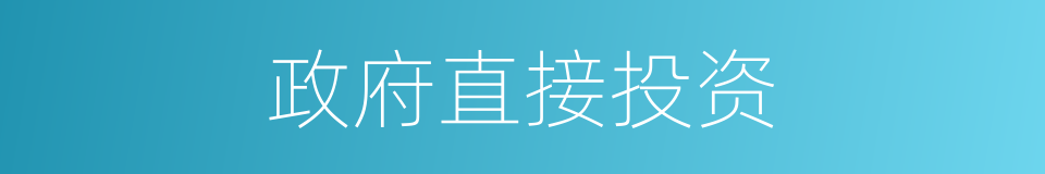政府直接投资的同义词
