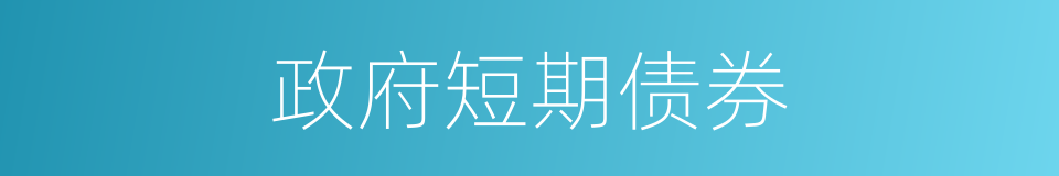 政府短期债券的同义词