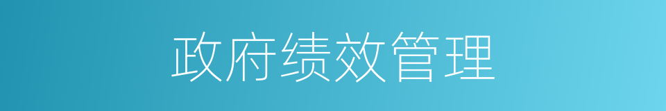 政府绩效管理的同义词
