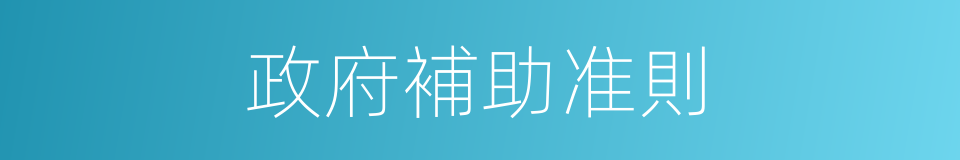 政府補助准則的同義詞