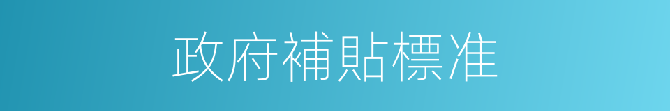 政府補貼標准的同義詞