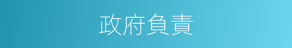 政府負責的同義詞