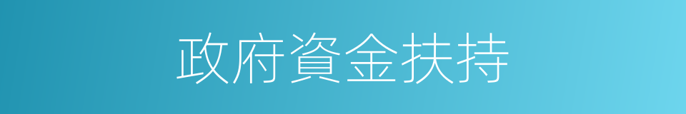 政府資金扶持的同義詞
