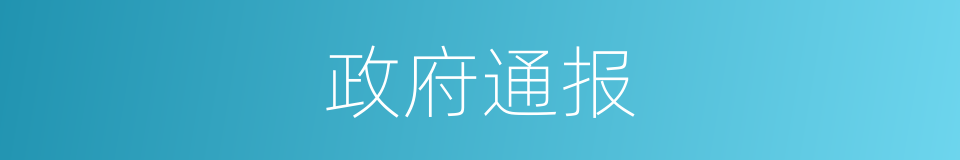 政府通报的同义词