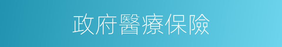 政府醫療保險的同義詞