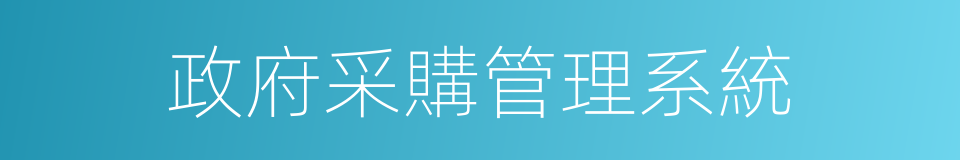 政府采購管理系統的同義詞