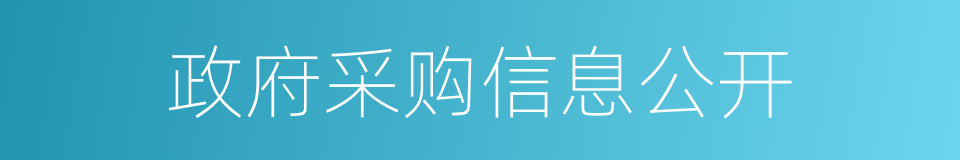 政府采购信息公开的同义词