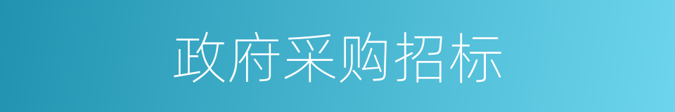 政府采购招标的同义词