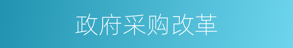 政府采购改革的同义词