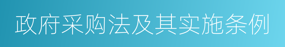 政府采购法及其实施条例的同义词