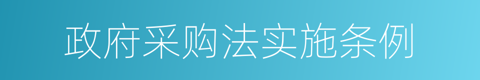 政府采购法实施条例的同义词