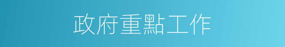 政府重點工作的同義詞
