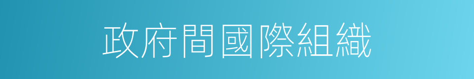 政府間國際組織的同義詞