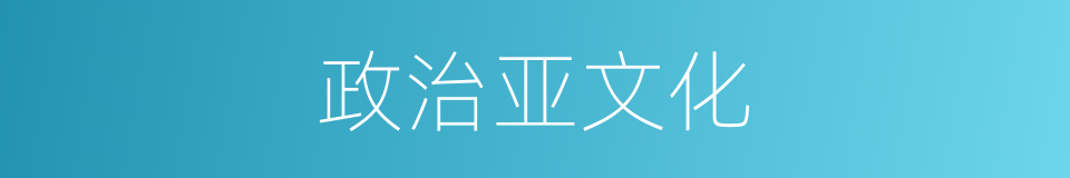 政治亚文化的同义词
