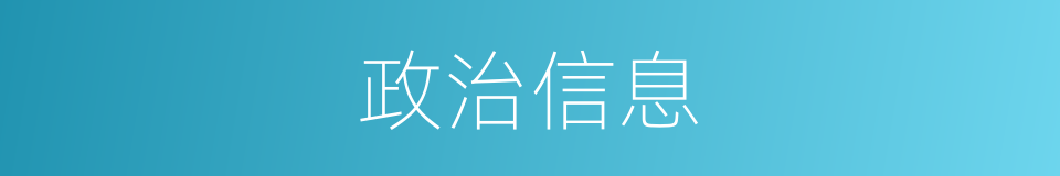 政治信息的同义词
