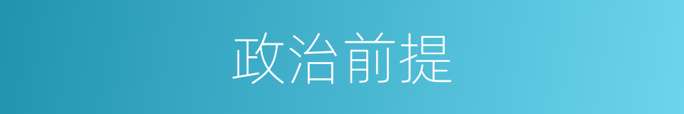 政治前提的同义词