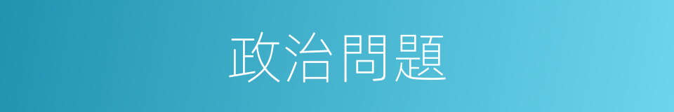 政治問題的同義詞
