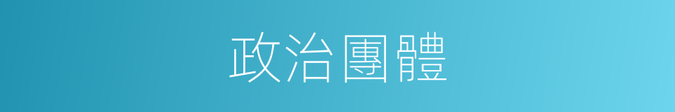 政治團體的意思