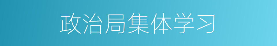 政治局集体学习的同义词