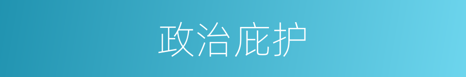 政治庇护的意思