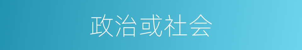 政治或社会的同义词