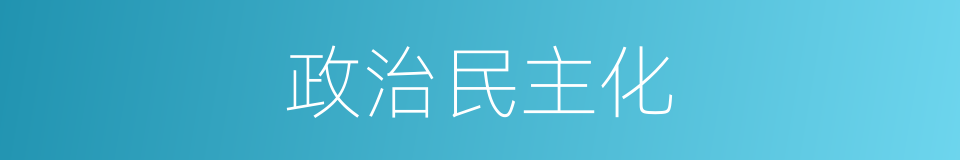 政治民主化的同义词