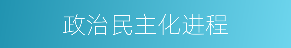 政治民主化进程的同义词