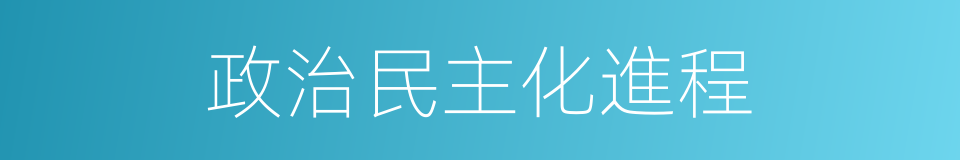 政治民主化進程的同義詞