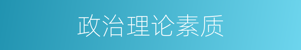 政治理论素质的同义词