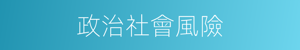 政治社會風險的同義詞