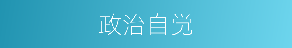 政治自觉的同义词