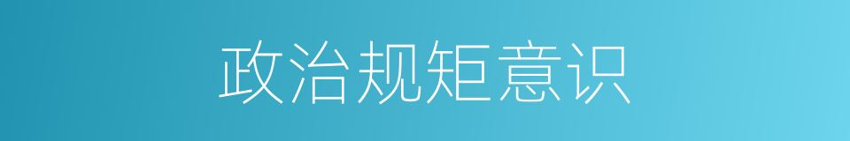 政治规矩意识的同义词