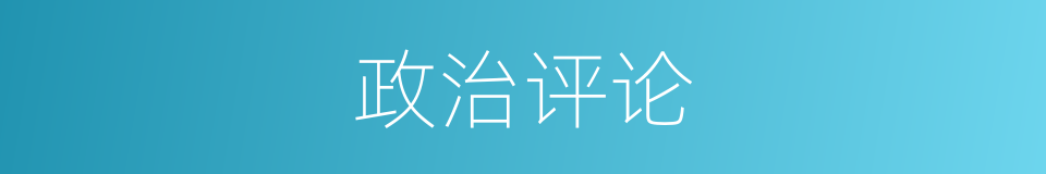 政治评论的同义词