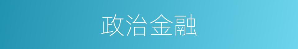 政治金融的同义词
