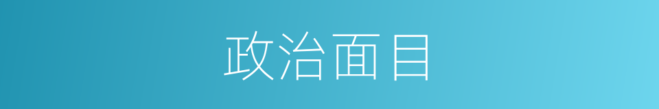政治面目的意思