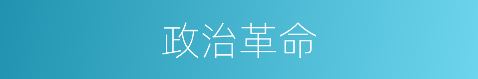 政治革命的同义词