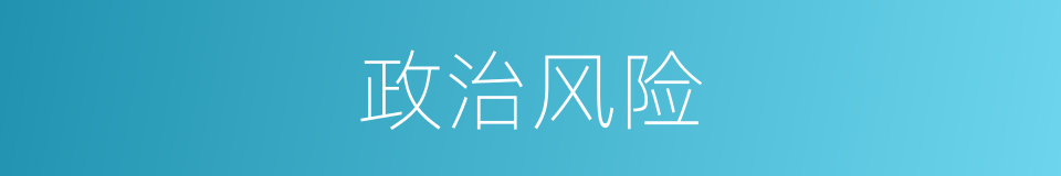 政治风险的同义词