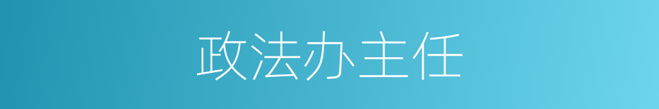 政法办主任的同义词