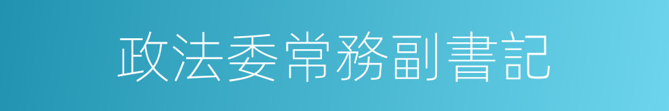 政法委常務副書記的同義詞