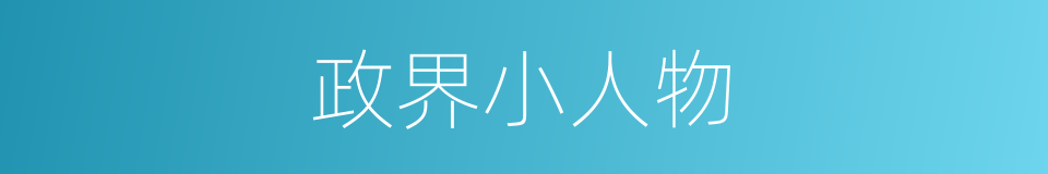 政界小人物的同义词